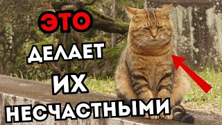 : 11 ,    !