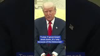 Trump: If government shuts down, it's 'only because of the Democrats'