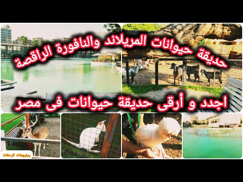حديقة الميريلاند بعد التجديد حديقة الحيوانات والنافورة الراقصة افضل اماكن الخروج فى القاهرة