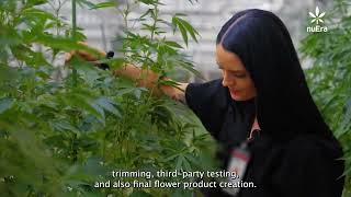 Meet the Team: All about Flower with Annie White