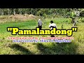 Pamalandong " Bisaya Christian song #christiansong #bisayachristiansong