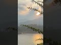 Nature at it’s best. #youtube #youtubeshorts #shorts
