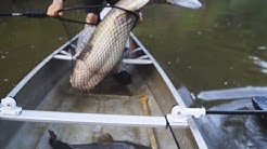 Runnin Trotlines: How to turn a little fish into a big one