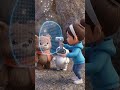 The Amazing Water Cycle Adventure! 💧🚀 | KEDU Science #kedu #cute #babychacha #cocomelon