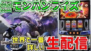 スロライブの配信のサムネイル画像