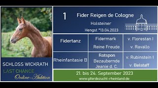 Lot Nr. 1 Fider Reigen v. Fidertanz - Rotspon