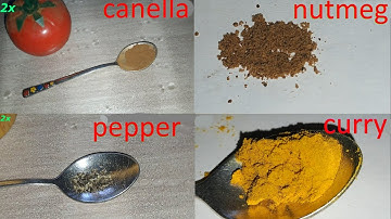 Spices under the microscope. Red pepper, black pepper, cinnamon, paprika, nutmeg, turmeric, curry.