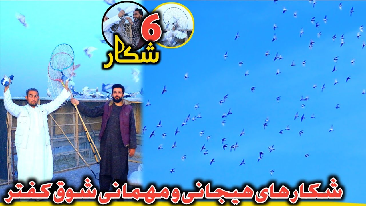 ۲ شکار و مهمانی | خیل جدید ابراهیم هراتی، همراه با شکارهای هیجانی و جشني | کمال کفترهای پرچم بالا 💪