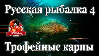 Русская рыбалка 4 Трофейная рыбалка на Янтарном Личный рекорд