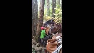 Gravel Pack Project in the Willamette National Forest, OR