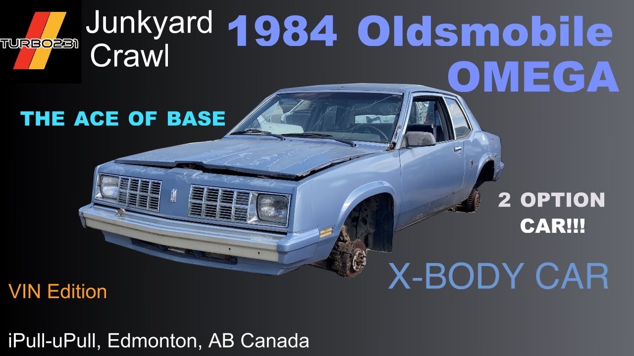 1984 Oldsmobile Omega Junkyard Tour! They don't get more base than this