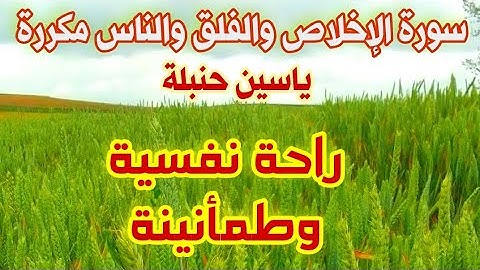 سورة الإخلاص والفلق والناس مكررة 100 مرة بصوت جميل المعوذات مكررة ساعة كاملة بصوت ياسين حنبلة