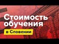 Стоимость учебы и жизни в Словении