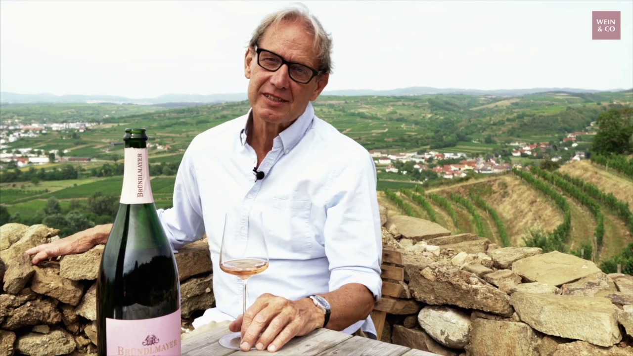 Weingut Bründlmayer - Winzer des Monats September 2019