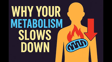 Why Your Metabolism Slows Down at 30 (And How To Fix It!)