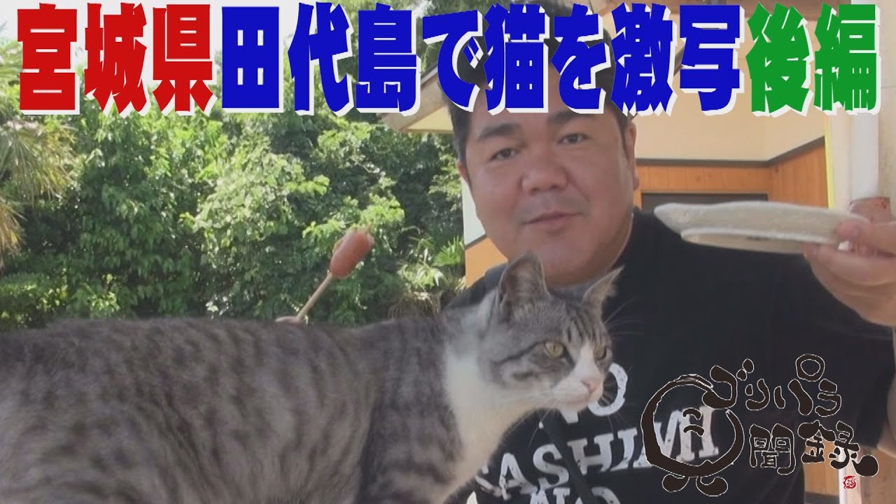 【公式】  宮城県　田代島の猫を激写する旅　後編　（2018年08月03日OA）｜ゴリパラ見聞録