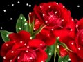 عيد ميلاد روكـــــــــــــــــــا عيد ميلاد روكـــــــــــــــــــا