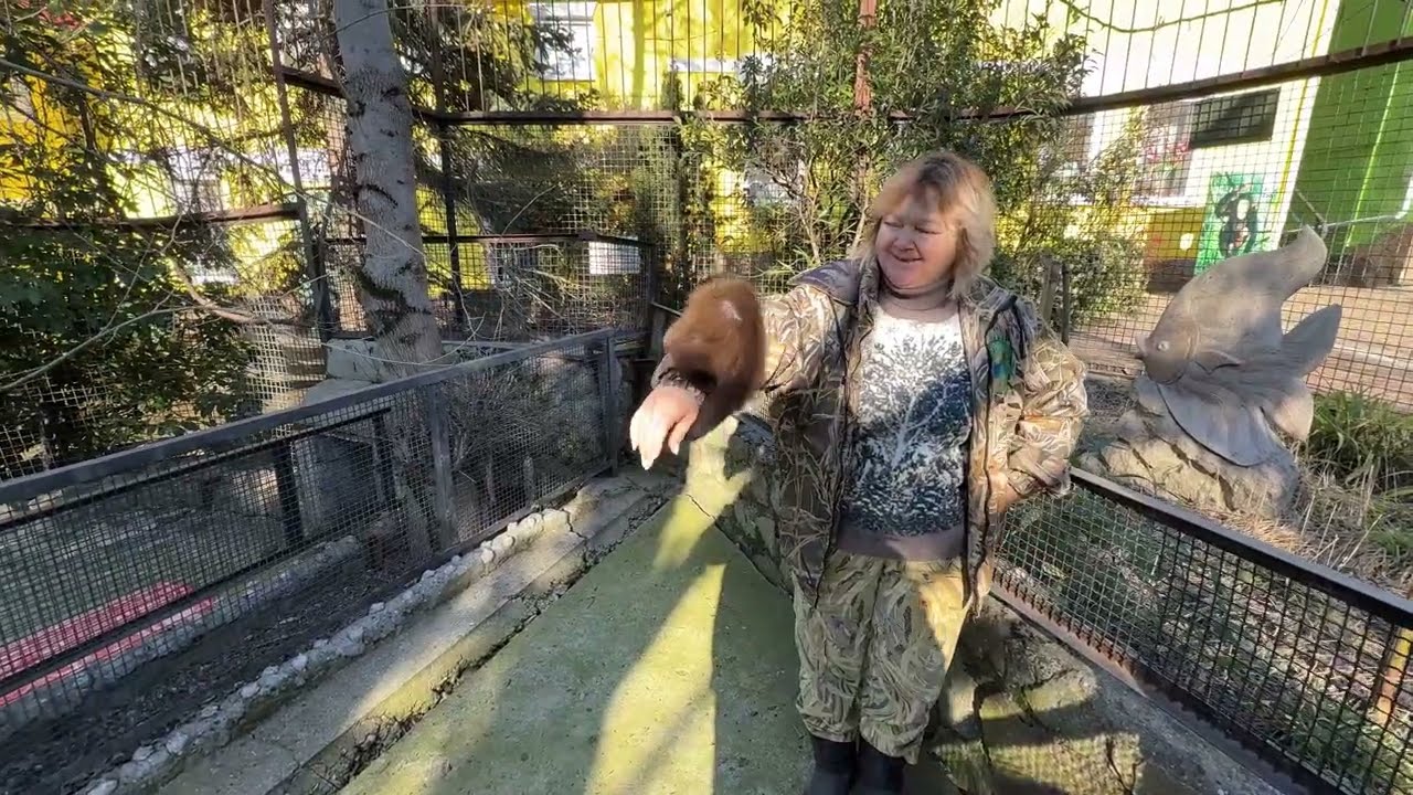 Капуцин Толик, Карамелька и Лаки- встречают весну!