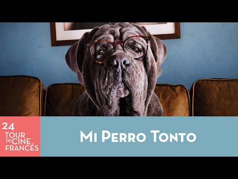 24° Tour de Cine Francés |  Mi Perro Tonto | #TenemosUnaCita