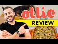 Ollie Dog Food Review | Is It The Best Fresh Dog Food?