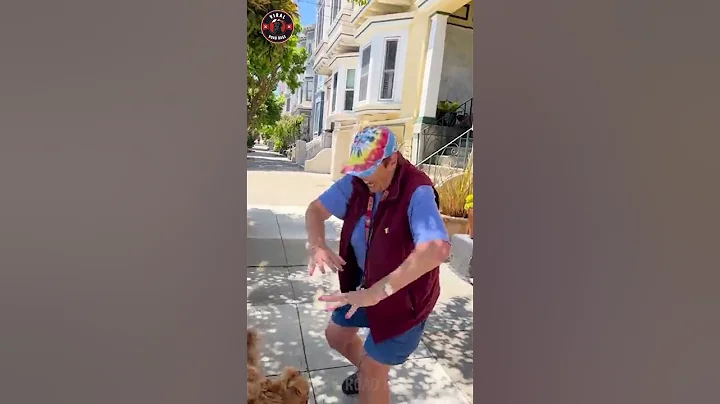 Aggressive Karen ATTACKS Man and His Dogs in Public - Shocking! 😰#shorts