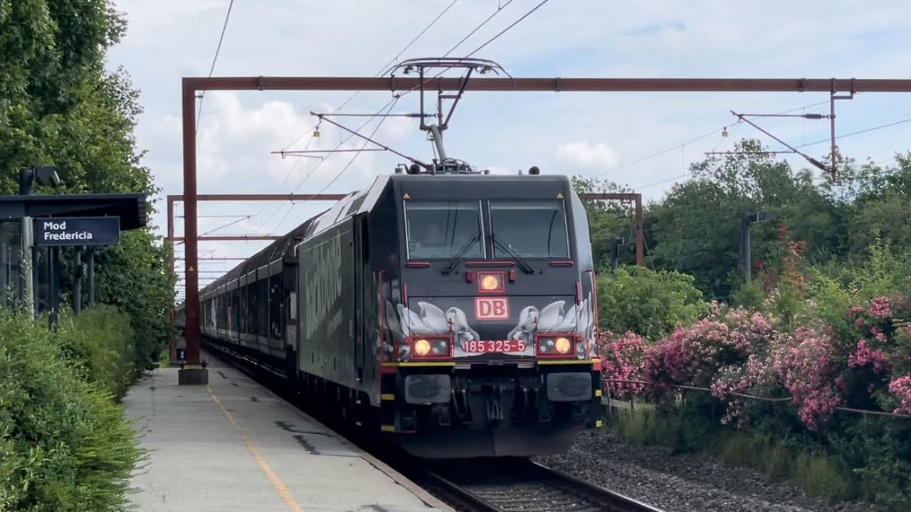 Tog i Kauslunde/ Kavslunde | Trains in Kauslunde/ Kavslunde | 2024