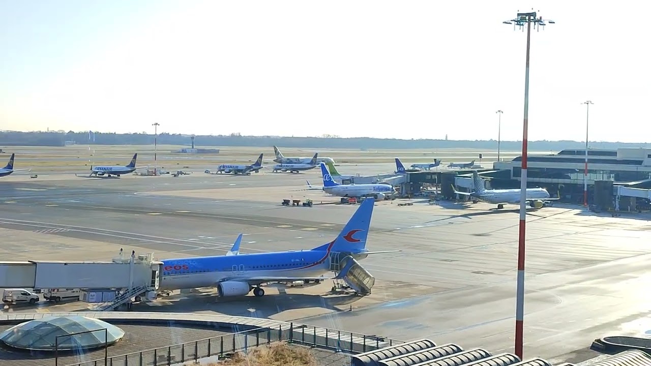 When you know someone special is in that flight || Milan Malpensa Airport || MXP || Italy 🇮🇹 