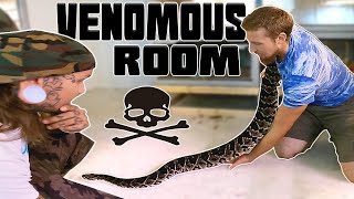 Vemonous Snake room Tour and KING COBRA Feeding | Tyler Nolan