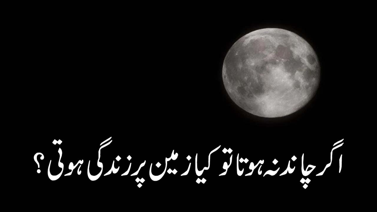 Moon Child Meaning In Urdu - img-sycamore