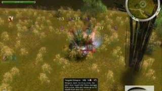 guild wars undergrowth/kirin farming
