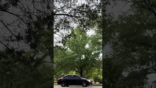 Driving around in the 2011 Corolla with Flowmaster 40 Exhaust #modified #flowmaster #corolla