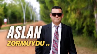 Aslan Zormuydu 