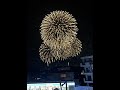 2025年熊谷花火大会へ行ってきた