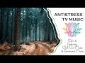 ♪  [Antistress Music] Позитивная Осенняя музыка для души и легкий снег