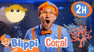 Under The Sea With Blippi | Blippi | Educational Kids Videos | Moonbug Kids