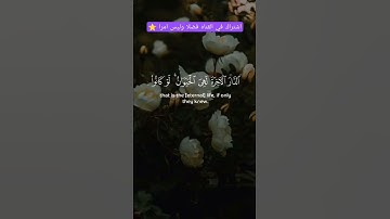 وإن الدار الاخره لهي الحيوان لو كانوا يعلمون ⭐ ||القارئ 🎤🎧عبدالرحمن مسعد 🌿🤍