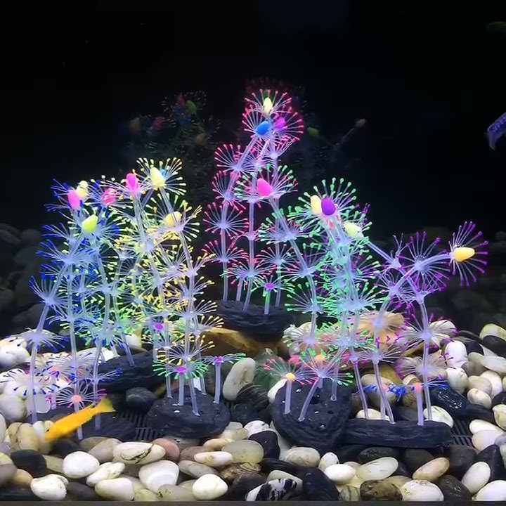 IMPORT SILICON CORAL / DANCING SEAWEED HIASAN AQUARIUM UNIK