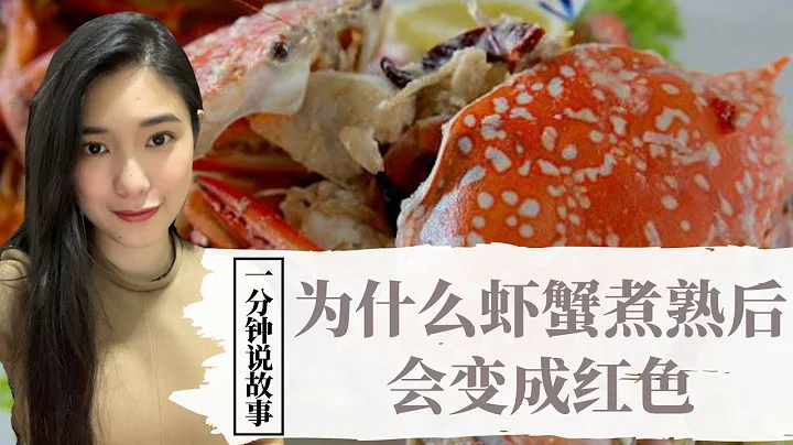 【1分钟说故事】为什么虾蟹煮熟后会变成红色 | 绝对不是因为害羞 | Karen冯凯琳