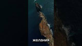 Философия детерменизма #детерменизм #философия #психология #свобода #воля