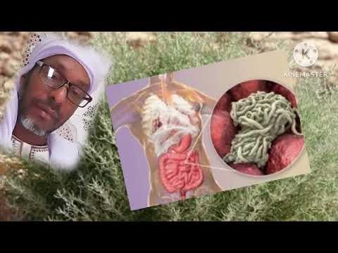 عجائب عشبة الشيح في علاج السحر والعين والحسد والأمراض العضوية مع الراقي أحمد بن أمحمد412