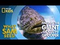 Finding the Giant Goliath Grouper | What Sam Sees