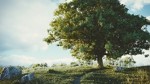 Tree Wind Animation In Blender | Complete Tutorial Step by Step