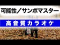 【高音質カラオケ】可能性 / サンボマスター