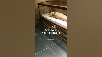 كداب ال فرعون القارئ عبد الرحمن مسعد حالات واتس اب تلاوة تدبرية