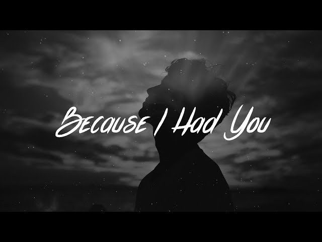 Shawn Mendes - Because I Had You