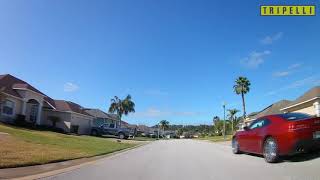 Tuscan Ridge Orlando Homes to Rent - Tripelli.com