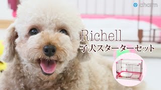 【charm】リッチェルとサイエンスダイエットのスターターセットで子犬を飼ってみよう!!