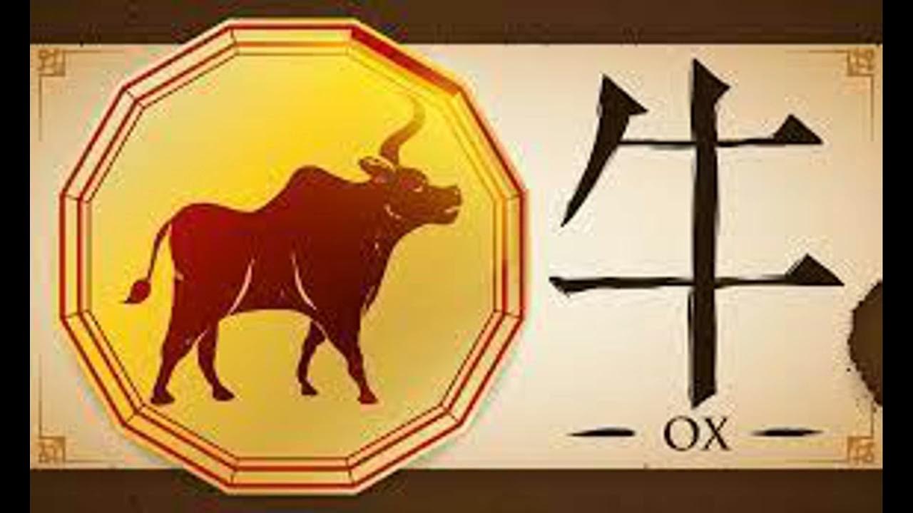 july 4 1985 chinese zodiac