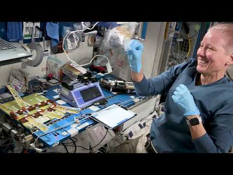 The International Space Station : A Laboratory in Space