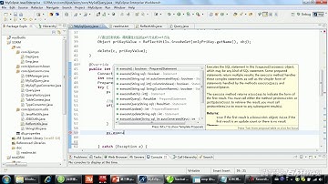 310 【手写SORM框架】 executeDML方法 测试delete方法